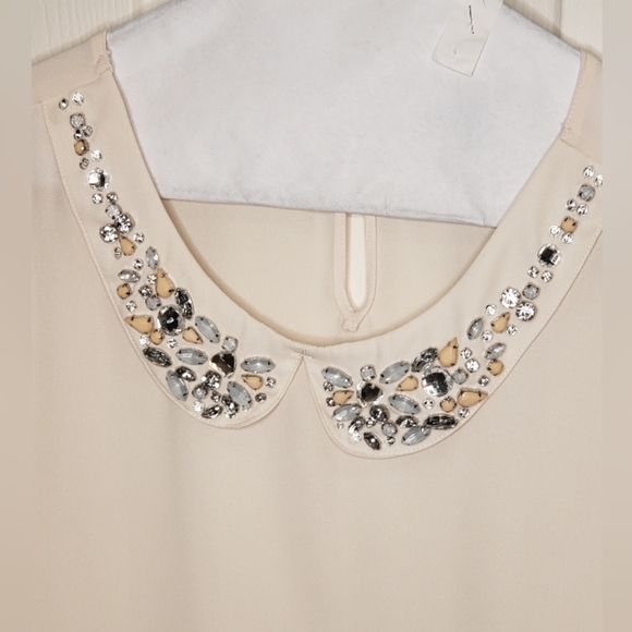 Ann Taylor Tops - Ann Taylor shear detailed cream blouse